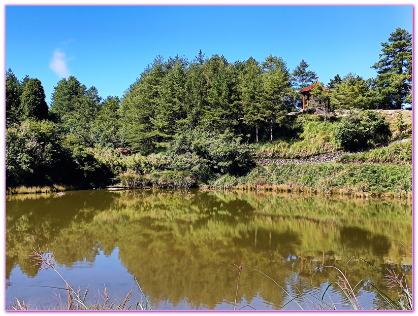 台中Taichung City,台灣好行大雪山線,台灣旅遊,大雪山國家森林遊樂區,天池,小雪山旅遊資訊站,雪山神木