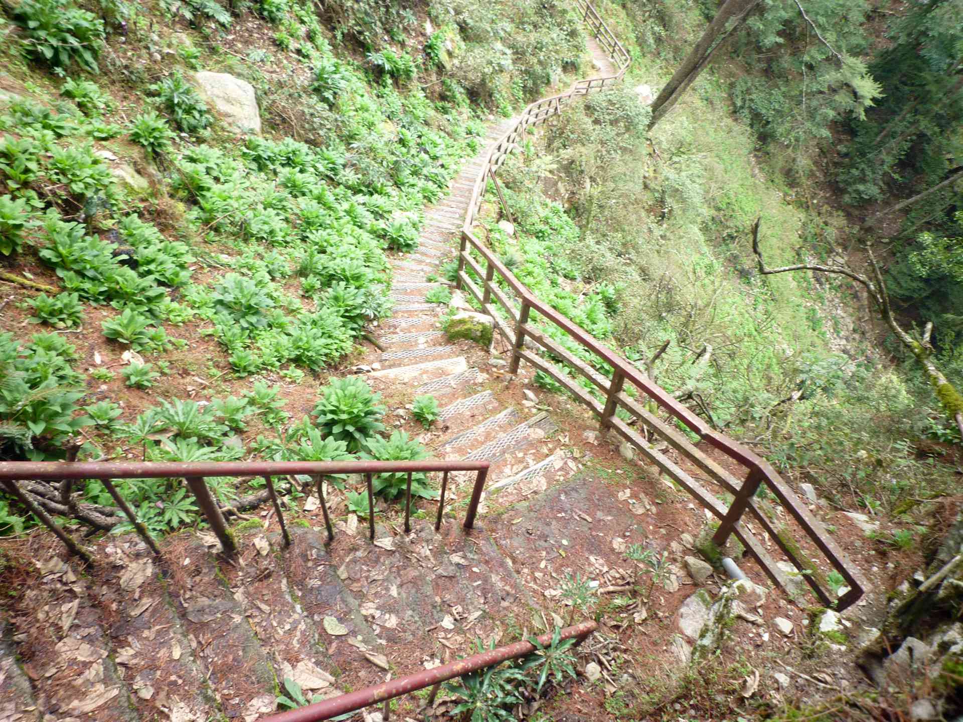 台中Taichung City,台灣旅遊,大雪山國家森林遊樂區,大雪山遊客服務中心