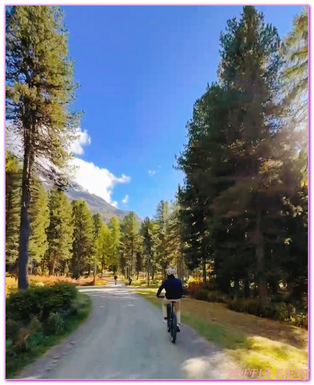 Biking,Ｈiking,Lake Champfer尚菲爾湖,Pappalou Restaurant,席爾瓦普拉納Silvaplana,席爾瓦普拉納湖Silvaplana Lake,格勞賓登州Graubunden,歐洲Europe,歐洲單車之旅,歐洲旅遊,聖莫里茲St. Moritz