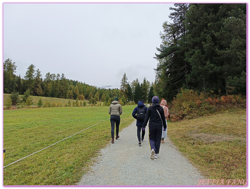 格勞賓登州Graubunden,歐洲Europe,歐洲旅遊,瑞士Switzerland,聖莫里茲St. Moritz,聖莫里茲湖及市區