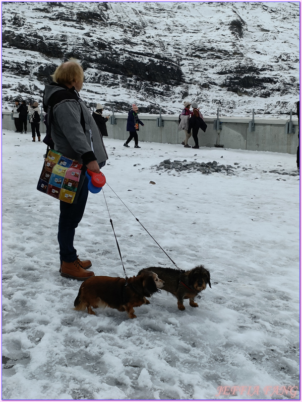 上少女峰車站交通工具,少女峰Jungfraujoch,歐洲Europe,歐洲之巔 Top of the Eruope,歐洲旅遊,瑞士Switzerland