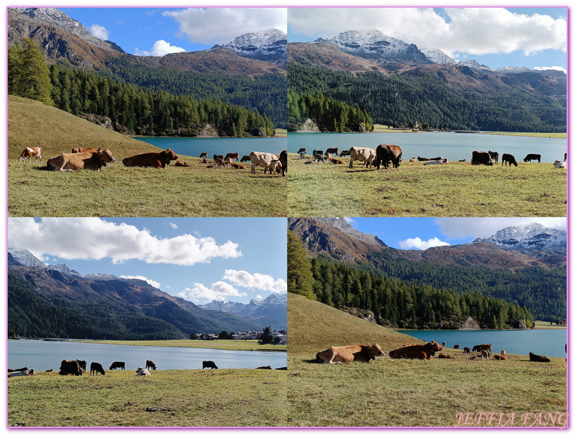 Biking,Ｈiking,Lake Champfer尚菲爾湖,Pappalou Restaurant,席爾瓦普拉納Silvaplana,席爾瓦普拉納湖Silvaplana Lake,格勞賓登州Graubunden,歐洲Europe,歐洲單車之旅,歐洲旅遊,聖莫里茲St. Moritz