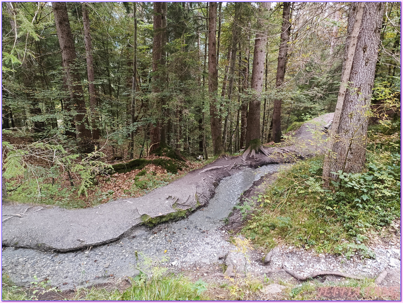 世界遺產UNESCO薩多納地質區Tectonic Arena Sardona,弗林斯Flims,格勞賓登州Graubunden,歐洲Europe,歐洲旅遊,考瑪湖Lake Cauma