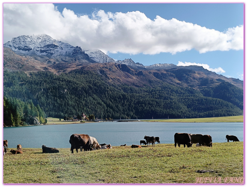 Biking,Ｈiking,Lake Champfer尚菲爾湖,Pappalou Restaurant,席爾瓦普拉納Silvaplana,席爾瓦普拉納湖Silvaplana Lake,格勞賓登州Graubunden,歐洲Europe,歐洲單車之旅,歐洲旅遊,聖莫里茲St. Moritz