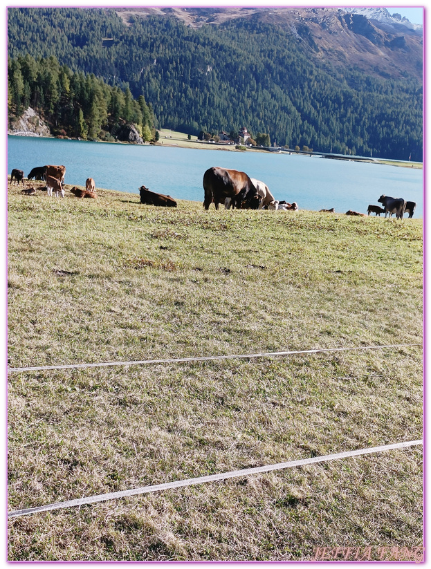 Biking,Ｈiking,Lake Champfer尚菲爾湖,Pappalou Restaurant,席爾瓦普拉納Silvaplana,席爾瓦普拉納湖Silvaplana Lake,格勞賓登州Graubunden,歐洲Europe,歐洲單車之旅,歐洲旅遊,聖莫里茲St. Moritz