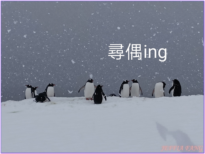 企鵝郵局,南極Antarctica,南極旅遊,南極郵局,古迪爾島Goudier,多里安灣『達莫角Damoy Point』,極地旅遊,洛克羅伊港Port Lockroy,龐洛PONANT郵輪,龐洛PONANT郵輪星輝號LE LYRIAL