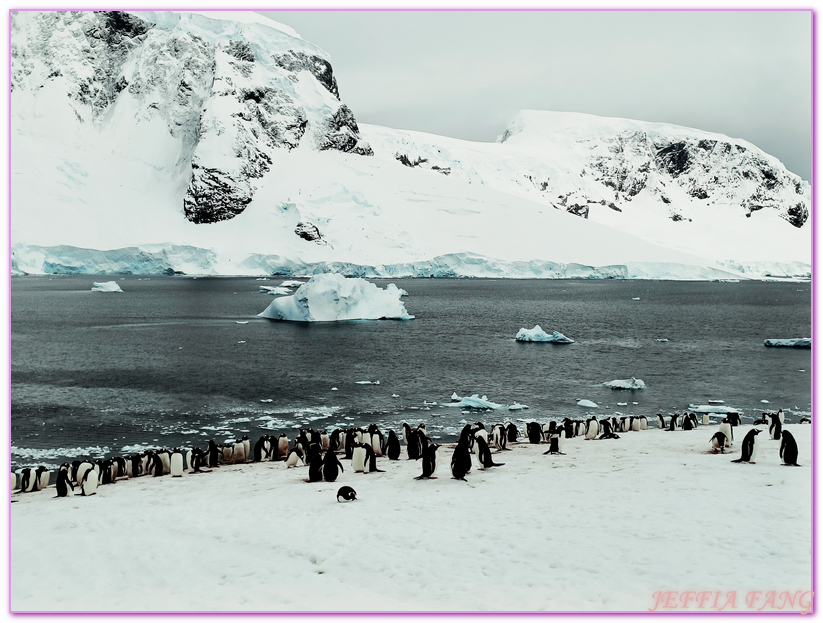 丹科島Danco Island,南極Antarctica,南極半島Antarctic Peninsula,南極旅遊,天堂灣Paradise Bay,巴布亞企鵝,布朗站Brown,極地旅遊,鳳凰旅遊