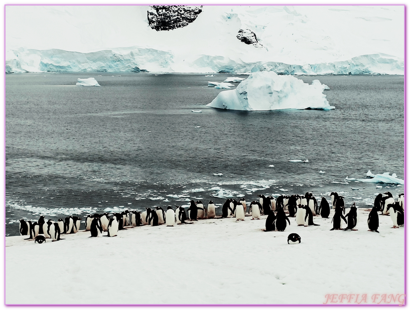 丹科島Danco Island,南極Antarctica,南極半島Antarctic Peninsula,南極旅遊,天堂灣Paradise Bay,巴布亞企鵝,布朗站Brown,極地旅遊,鳳凰旅遊