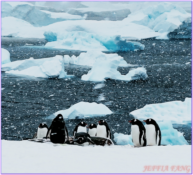 世界極地之旅,南極Antarctica,南極旅遊,尼科港Neko Harbour,庫弗維爾島Cuverville Island,星輝號Le Lyrial,鳳凰旅遊,龐洛PONANT郵輪