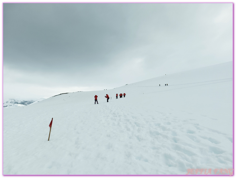 丹科島Danco Island,南極Antarctica,南極半島Antarctic Peninsula,南極旅遊,天堂灣Paradise Bay,巴布亞企鵝,布朗站Brown,極地旅遊,鳳凰旅遊