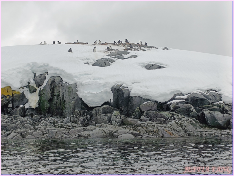 企鵝郵局,南極Antarctica,南極旅遊,南極郵局,古迪爾島Goudier,多里安灣『達莫角Damoy Point』,極地旅遊,洛克羅伊港Port Lockroy,龐洛PONANT郵輪,龐洛PONANT郵輪星輝號LE LYRIAL