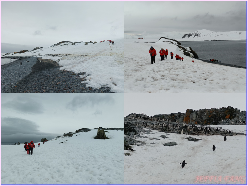 世界極地之旅,半月島Halfmoon Island,南極Antarctica,南設得蘭群島South Shetlands,帽帶企鵝,捕鯨者灣Whalers Bay,欺騙島Deception Island,海神風箱,羅納德山丘（Ronald Hill）,龐洛PONANT郵輪星輝號LE LYRIAL