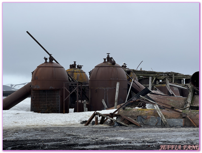 世界極地之旅,半月島Halfmoon Island,南極Antarctica,南設得蘭群島South Shetlands,帽帶企鵝,捕鯨者灣Whalers Bay,欺騙島Deception Island,海神風箱,羅納德山丘（Ronald Hill）,龐洛PONANT郵輪星輝號LE LYRIAL