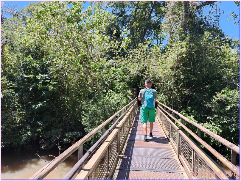 上環步道,伊瓜蘇Iquazu,伊瓜蘇國家公園Iguazu National Park,伊瓜蘇瀑布Iguazu Falls伊瓜蘇瀑布Iguazu Falls,南美洲旅遊,阿根廷Argentina,魔鬼咽喉Devil’s Throat