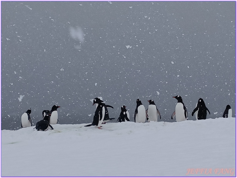 企鵝郵局,南極Antarctica,南極旅遊,南極郵局,古迪爾島Goudier,多里安灣『達莫角Damoy Point』,極地旅遊,洛克羅伊港Port Lockroy,龐洛PONANT郵輪,龐洛PONANT郵輪星輝號LE LYRIAL