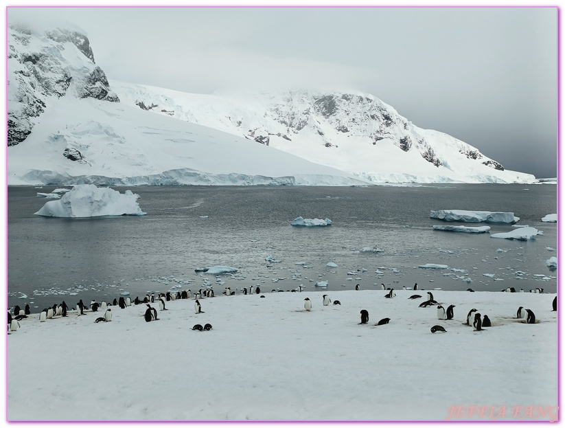 丹科島Danco Island,南極Antarctica,南極半島Antarctic Peninsula,南極旅遊,天堂灣Paradise Bay,巴布亞企鵝,布朗站Brown,極地旅遊,鳳凰旅遊