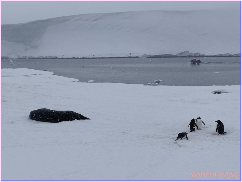 企鵝郵局,南極Antarctica,南極旅遊,南極郵局,古迪爾島Goudier,多里安灣『達莫角Damoy Point』,極地旅遊,洛克羅伊港Port Lockroy,龐洛PONANT郵輪,龐洛PONANT郵輪星輝號LE LYRIAL