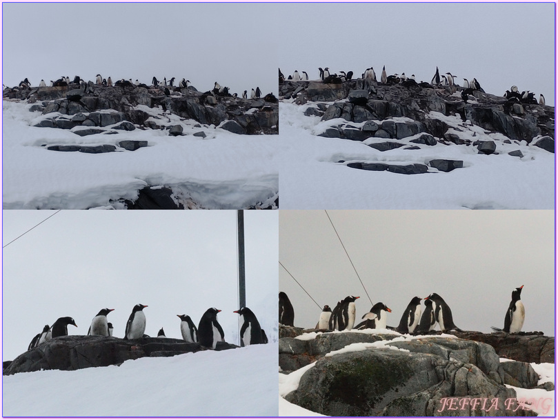 企鵝郵局,南極Antarctica,南極旅遊,南極郵局,古迪爾島Goudier,多里安灣『達莫角Damoy Point』,極地旅遊,洛克羅伊港Port Lockroy,龐洛PONANT郵輪,龐洛PONANT郵輪星輝號LE LYRIAL