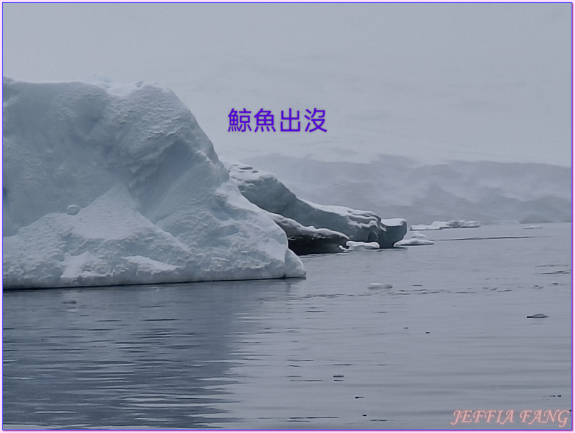 世界極地之旅,南極Antarctica,南極旅遊,尼科港Neko Harbour,庫弗維爾島Cuverville Island,星輝號Le Lyrial,鳳凰旅遊,龐洛PONANT郵輪