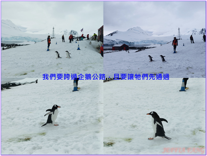 企鵝郵局,南極Antarctica,南極旅遊,南極郵局,古迪爾島Goudier,多里安灣『達莫角Damoy Point』,極地旅遊,洛克羅伊港Port Lockroy,龐洛PONANT郵輪,龐洛PONANT郵輪星輝號LE LYRIAL