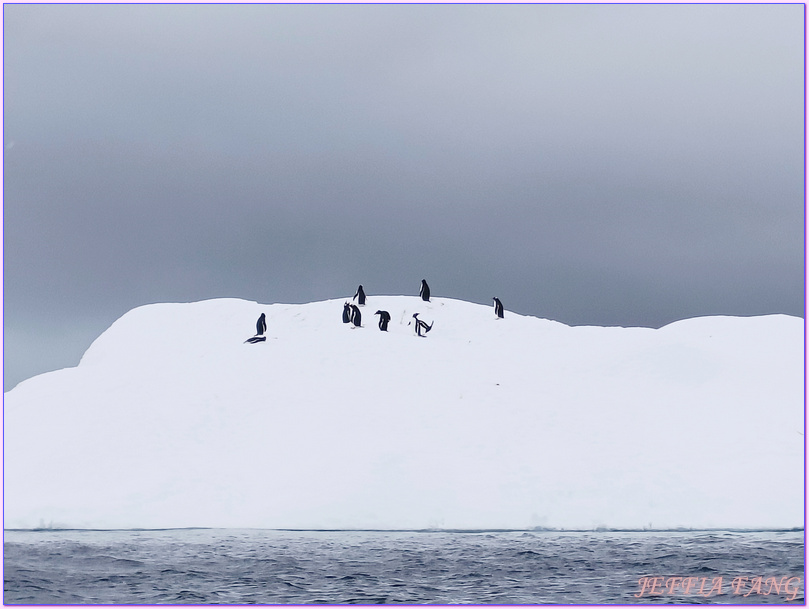 世界極地之旅,冰山,冰架,冰棚,冰脂,南極Antarctica,南極冰原,南極旅遊,南極登島,威爾米娜灣Wilhelmina Bay,微破冰,接岸冰,普拉塔海峽Plata Passage,龐洛PONANT郵輪星輝號LE LYRIAL