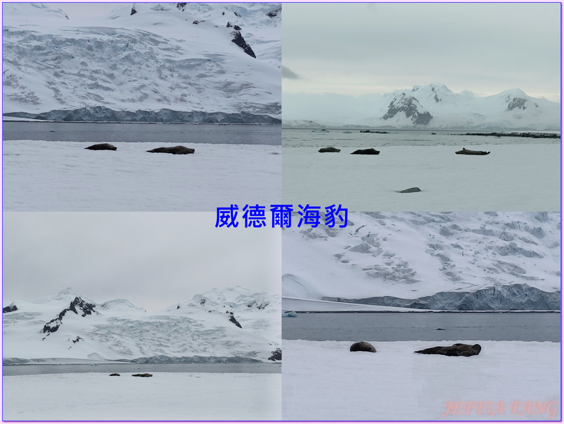 世界極地之旅,半月島Halfmoon Island,南極Antarctica,南設得蘭群島South Shetlands,帽帶企鵝,捕鯨者灣Whalers Bay,欺騙島Deception Island,海神風箱,羅納德山丘（Ronald Hill）,龐洛PONANT郵輪星輝號LE LYRIAL