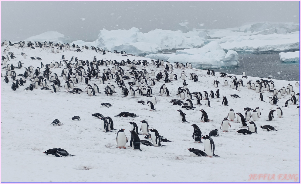 世界極地之旅,南極Antarctica,南極旅遊,尼科港Neko Harbour,庫弗維爾島Cuverville Island,星輝號Le Lyrial,鳳凰旅遊,龐洛PONANT郵輪