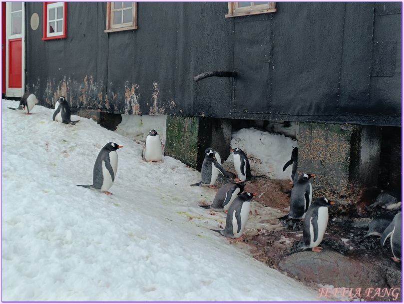 企鵝郵局,南極Antarctica,南極旅遊,南極郵局,古迪爾島Goudier,多里安灣『達莫角Damoy Point』,極地旅遊,洛克羅伊港Port Lockroy,龐洛PONANT郵輪,龐洛PONANT郵輪星輝號LE LYRIAL