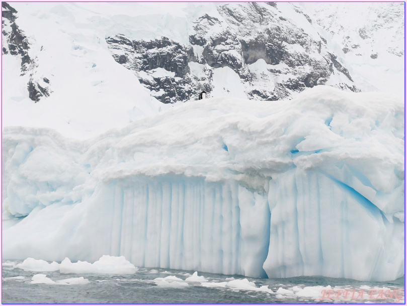 世界極地之旅,冰山,冰架,冰棚,冰脂,南極Antarctica,南極冰原,南極旅遊,南極登島,威爾米娜灣Wilhelmina Bay,微破冰,接岸冰,普拉塔海峽Plata Passage,龐洛PONANT郵輪星輝號LE LYRIAL