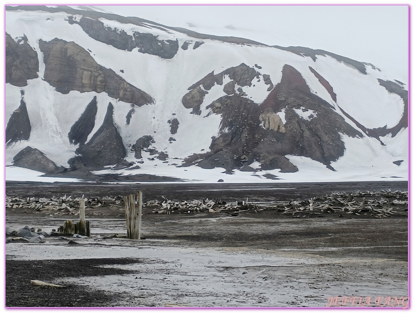 世界極地之旅,半月島Halfmoon Island,南極Antarctica,南設得蘭群島South Shetlands,帽帶企鵝,捕鯨者灣Whalers Bay,欺騙島Deception Island,海神風箱,羅納德山丘（Ronald Hill）,龐洛PONANT郵輪星輝號LE LYRIAL