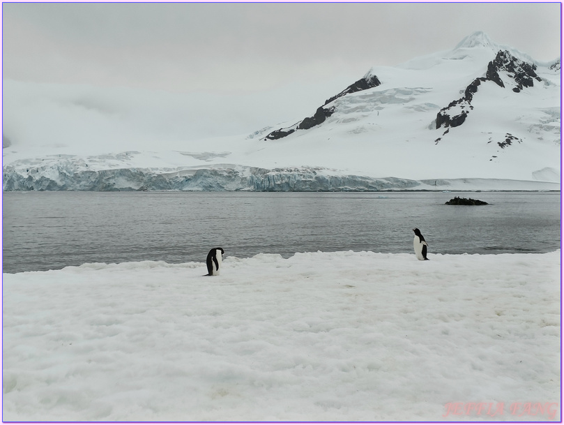 世界極地之旅,半月島Halfmoon Island,南極Antarctica,南設得蘭群島South Shetlands,帽帶企鵝,捕鯨者灣Whalers Bay,欺騙島Deception Island,海神風箱,羅納德山丘（Ronald Hill）,龐洛PONANT郵輪星輝號LE LYRIAL