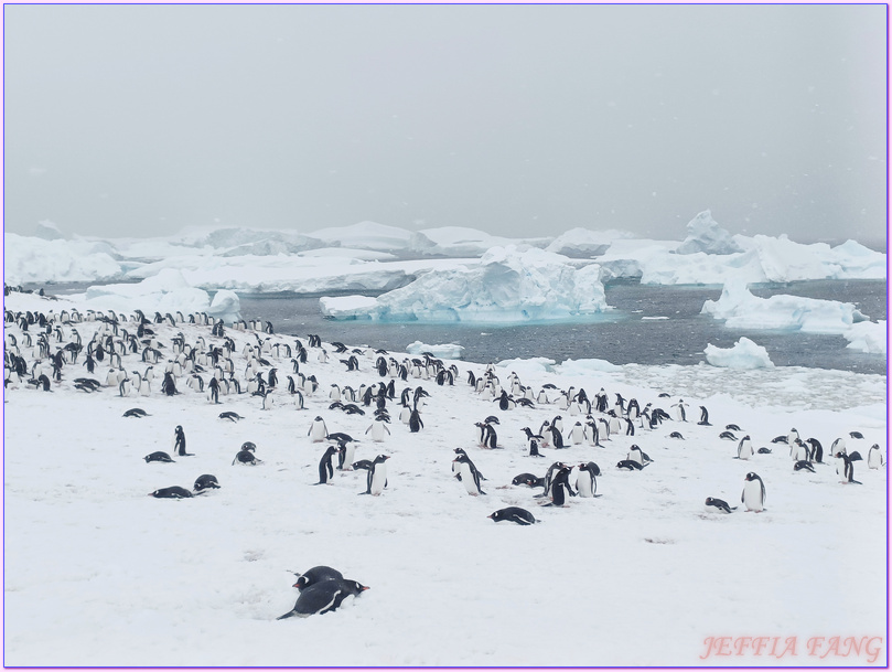 世界極地之旅,南極Antarctica,南極旅遊,尼科港Neko Harbour,庫弗維爾島Cuverville Island,星輝號Le Lyrial,鳳凰旅遊,龐洛PONANT郵輪