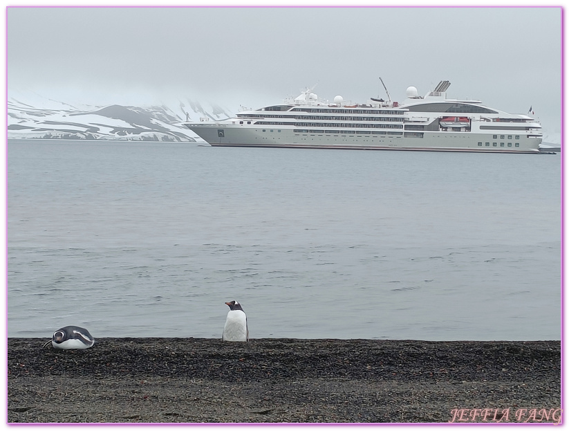 世界極地之旅,半月島Halfmoon Island,南極Antarctica,南設得蘭群島South Shetlands,帽帶企鵝,捕鯨者灣Whalers Bay,欺騙島Deception Island,海神風箱,羅納德山丘（Ronald Hill）,龐洛PONANT郵輪星輝號LE LYRIAL