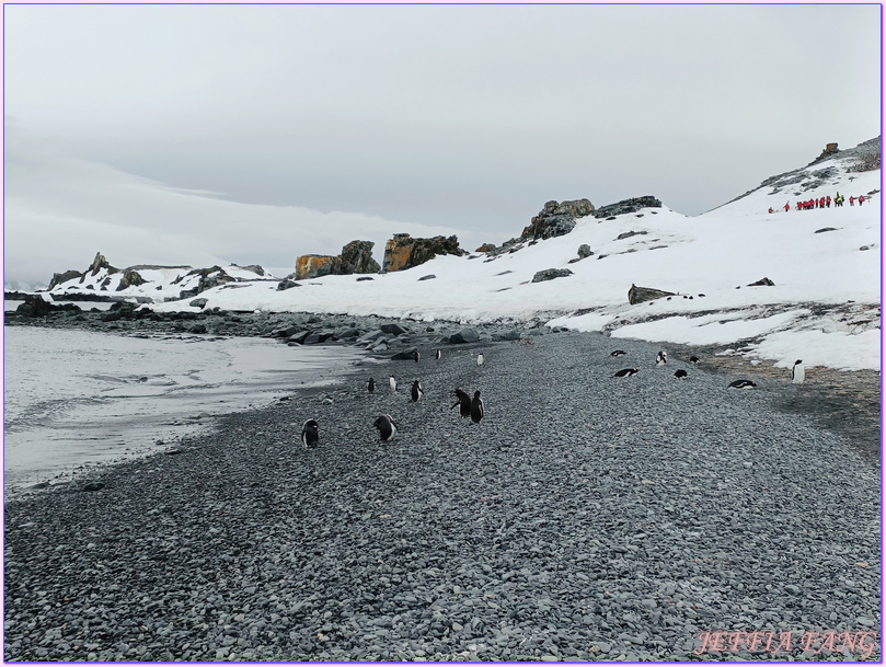 世界極地之旅,半月島Halfmoon Island,南極Antarctica,南設得蘭群島South Shetlands,帽帶企鵝,捕鯨者灣Whalers Bay,欺騙島Deception Island,海神風箱,羅納德山丘（Ronald Hill）,龐洛PONANT郵輪星輝號LE LYRIAL