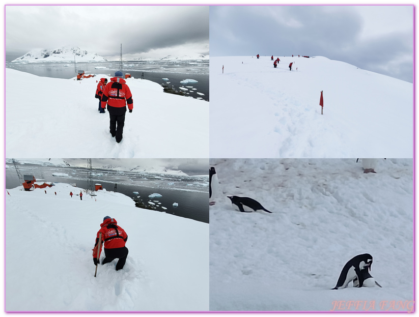 丹科島Danco Island,南極Antarctica,南極半島Antarctic Peninsula,南極旅遊,天堂灣Paradise Bay,巴布亞企鵝,布朗站Brown,極地旅遊,鳳凰旅遊