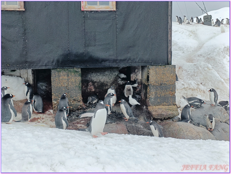 企鵝郵局,南極Antarctica,南極旅遊,南極郵局,古迪爾島Goudier,多里安灣『達莫角Damoy Point』,極地旅遊,洛克羅伊港Port Lockroy,龐洛PONANT郵輪,龐洛PONANT郵輪星輝號LE LYRIAL