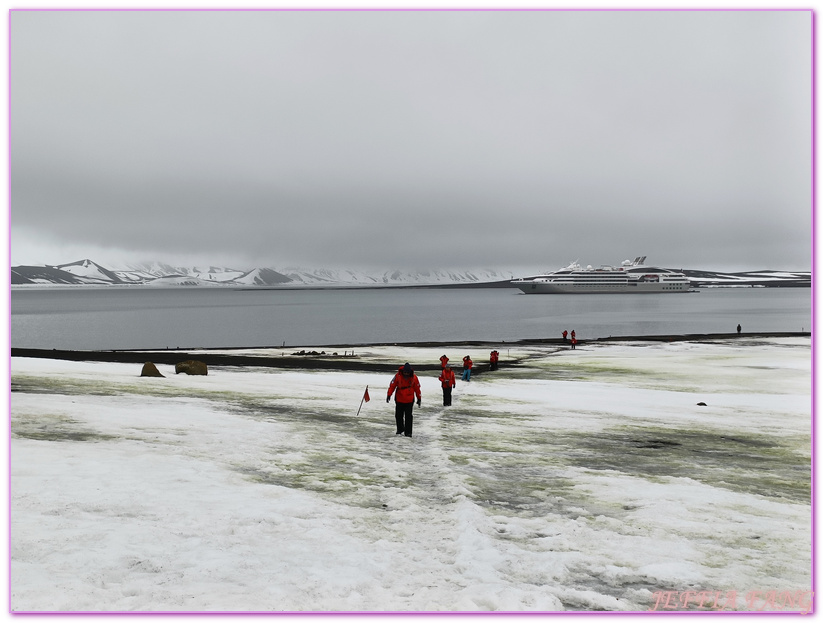 世界極地之旅,半月島Halfmoon Island,南極Antarctica,南設得蘭群島South Shetlands,帽帶企鵝,捕鯨者灣Whalers Bay,欺騙島Deception Island,海神風箱,羅納德山丘（Ronald Hill）,龐洛PONANT郵輪星輝號LE LYRIAL