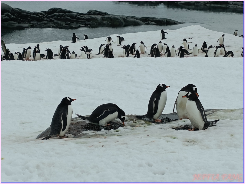 企鵝郵局,南極Antarctica,南極旅遊,南極郵局,古迪爾島Goudier,多里安灣『達莫角Damoy Point』,極地旅遊,洛克羅伊港Port Lockroy,龐洛PONANT郵輪,龐洛PONANT郵輪星輝號LE LYRIAL