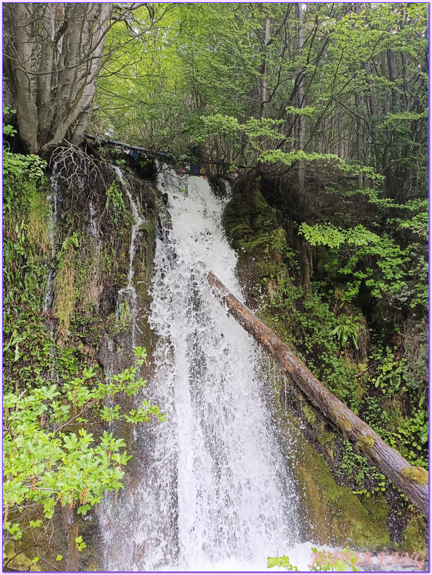 世界之南,中南美洲,囚犯傳奇之旅,火地島國家公園Parque Nacional Tierra del Fuego,火地島小火車,烏蘇懷亞Ushuaia,阿根廷Argentina,阿根廷旅遊