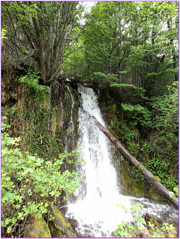 世界之南,中南美洲,囚犯傳奇之旅,火地島國家公園Parque Nacional Tierra del Fuego,火地島小火車,烏蘇懷亞Ushuaia,阿根廷Argentina,阿根廷旅遊