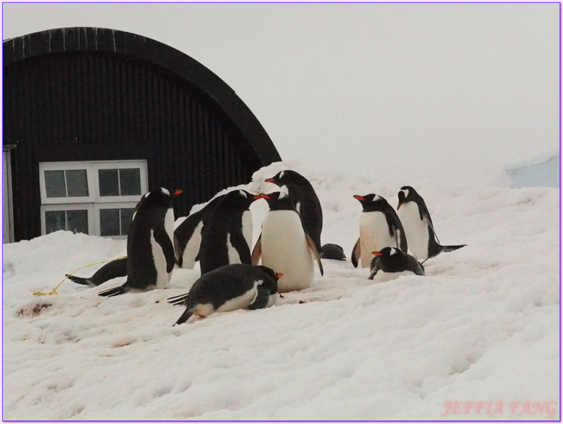 企鵝郵局,南極Antarctica,南極旅遊,南極郵局,古迪爾島Goudier,多里安灣『達莫角Damoy Point』,極地旅遊,洛克羅伊港Port Lockroy,龐洛PONANT郵輪,龐洛PONANT郵輪星輝號LE LYRIAL