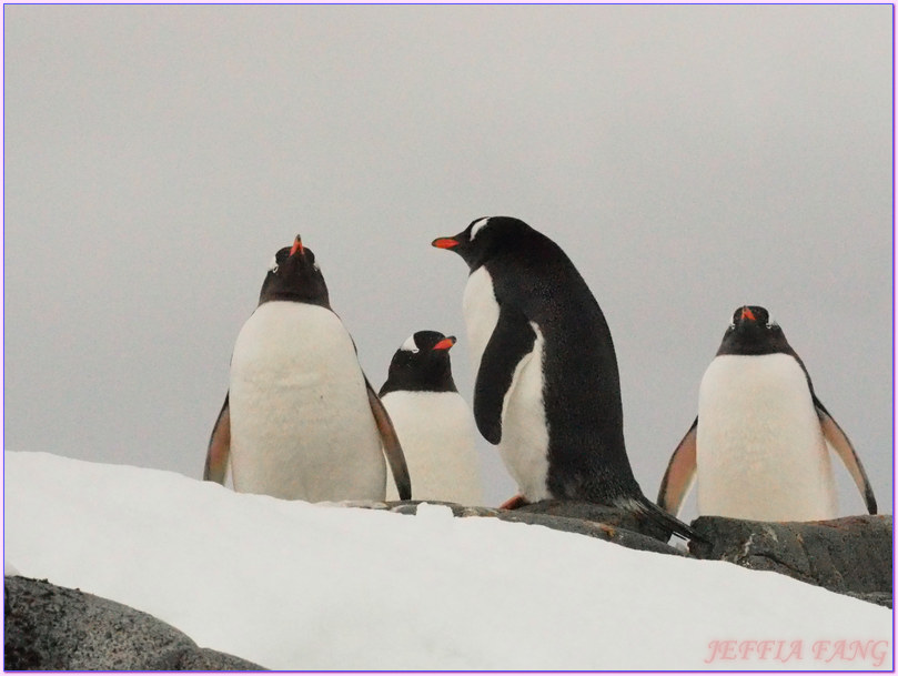 企鵝郵局,南極Antarctica,南極旅遊,南極郵局,古迪爾島Goudier,多里安灣『達莫角Damoy Point』,極地旅遊,洛克羅伊港Port Lockroy,龐洛PONANT郵輪,龐洛PONANT郵輪星輝號LE LYRIAL