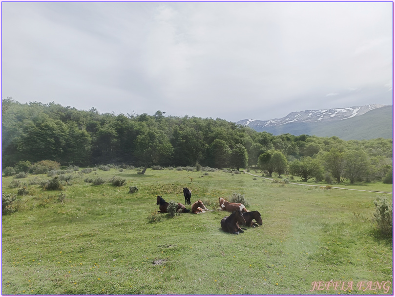 世界之南,中南美洲,囚犯傳奇之旅,火地島國家公園Parque Nacional Tierra del Fuego,火地島小火車,烏蘇懷亞Ushuaia,阿根廷Argentina,阿根廷旅遊