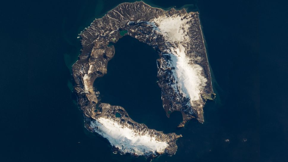 世界極地之旅,半月島Halfmoon Island,南極Antarctica,南設得蘭群島South Shetlands,帽帶企鵝,捕鯨者灣Whalers Bay,欺騙島Deception Island,海神風箱,羅納德山丘（Ronald Hill）,龐洛PONANT郵輪星輝號LE LYRIAL