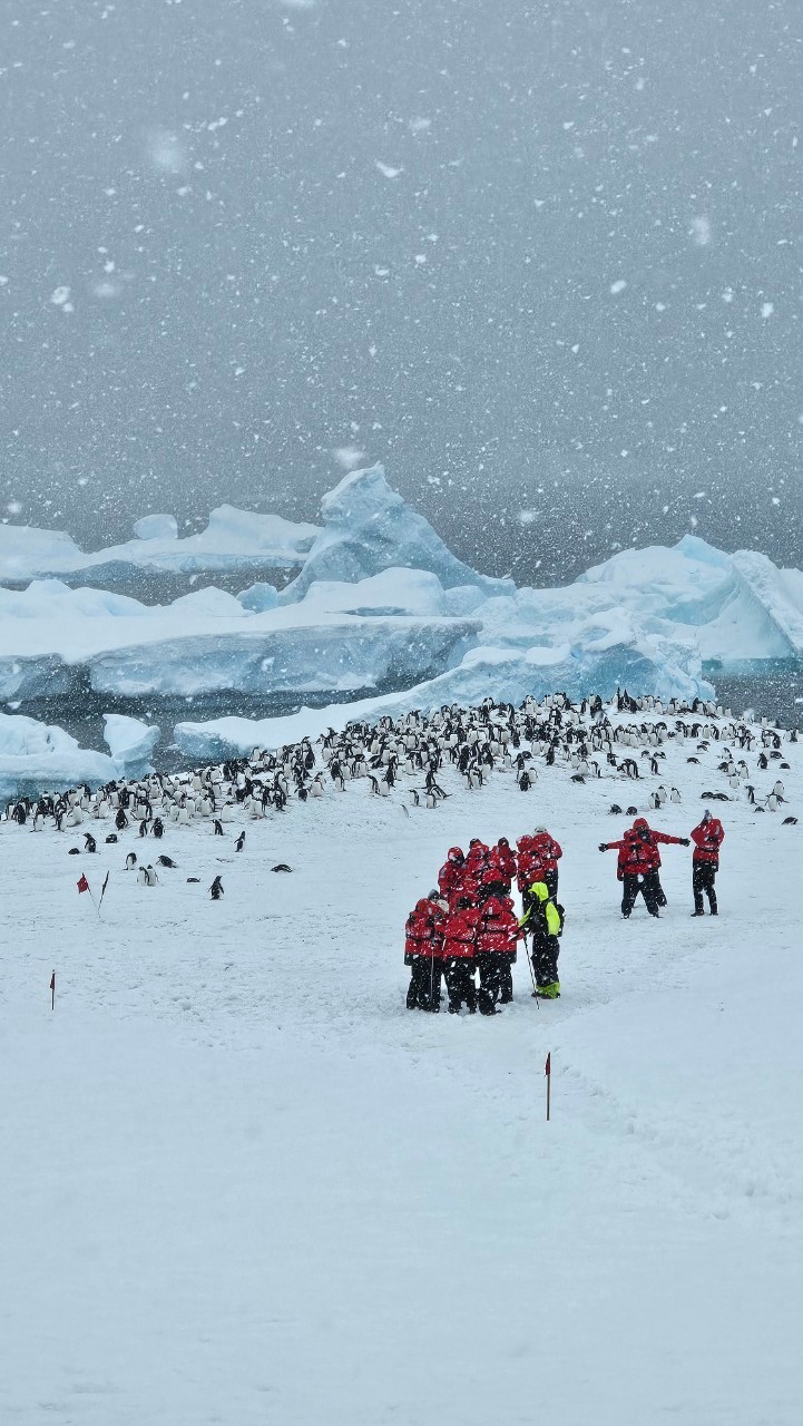 世界極地之旅,南極Antarctica,南極旅遊,尼科港Neko Harbour,庫弗維爾島Cuverville Island,星輝號Le Lyrial,鳳凰旅遊,龐洛PONANT郵輪