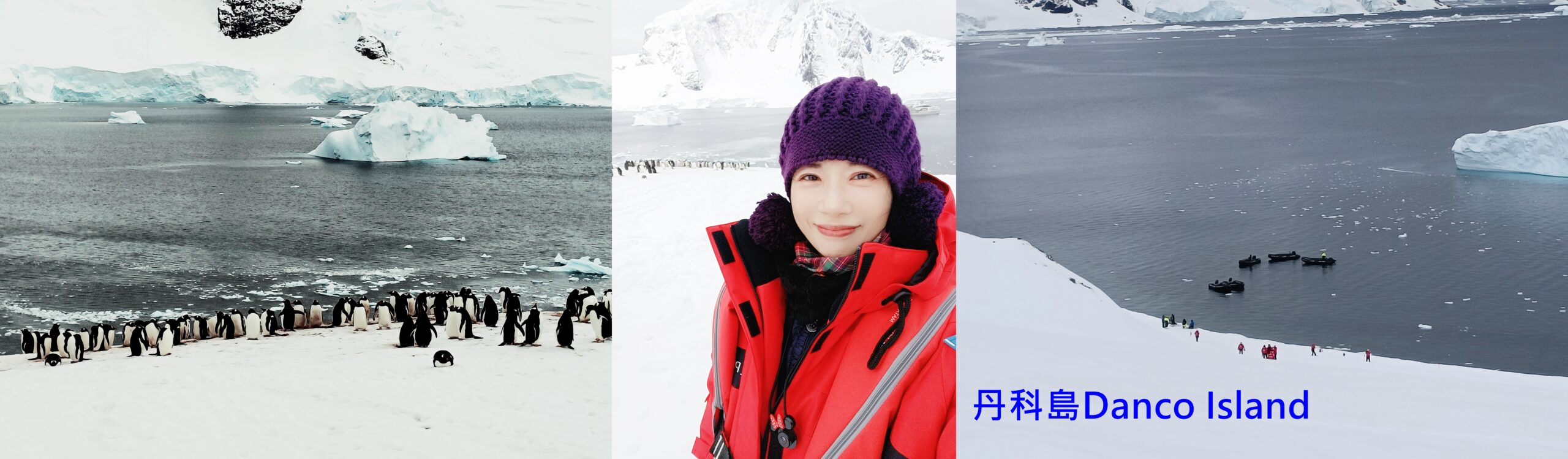 丹科島Danco Island,南極Antarctica,南極半島Antarctic Peninsula,南極旅遊,天堂灣Paradise Bay,巴布亞企鵝,布朗站Brown,極地旅遊,鳳凰旅遊