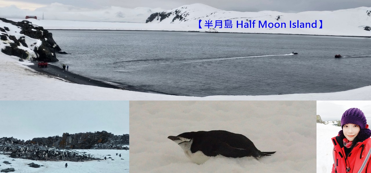 世界極地之旅,半月島Halfmoon Island,南極Antarctica,南設得蘭群島South Shetlands,帽帶企鵝,捕鯨者灣Whalers Bay,欺騙島Deception Island,海神風箱,羅納德山丘（Ronald Hill）,龐洛PONANT郵輪星輝號LE LYRIAL