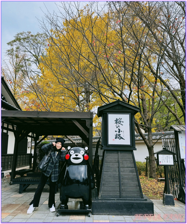 九州Kyushu,日本旅遊,櫻之馬場城彩苑,熊本Kumamoto,熊本城Kumamoto Castle