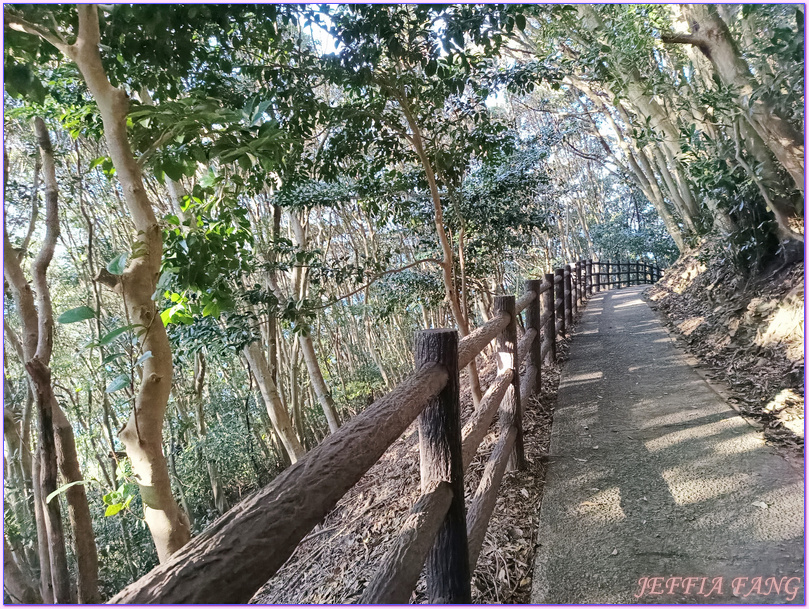 九州Kyushu,十字架之海The Sea Cross,大御神社Oomi Jinja,宮崎Miyazaki,日向Hyuga,日本旅遊,美美津町Mimitsumachi,馬背Umagase