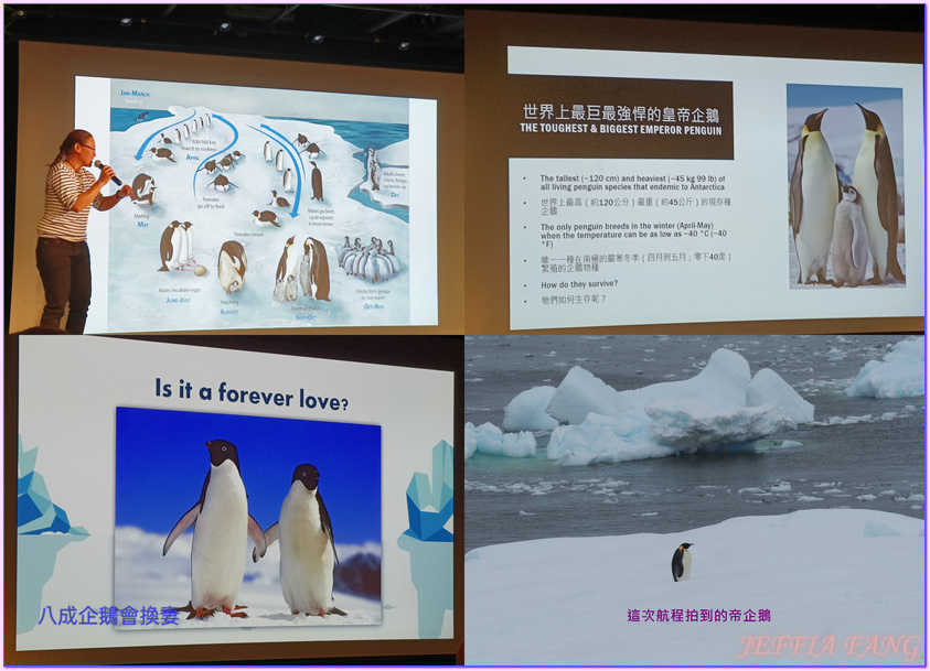 2024年南極旅遊,世界極地之旅,南極Antarctica,南極企鵝,南極冰原,南極冰川,南極冰架,南極探險團隊,鳳凰旅遊,龐洛PONANT郵輪星輝號LE LYRIAL